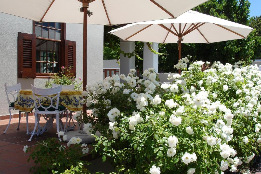 Glen Avon Lodge Boutique Hotel Kapské Město Exteriér fotografie